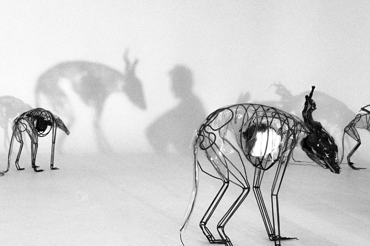 Jacopo Mandich — Apollisiaco, fotografia 8
