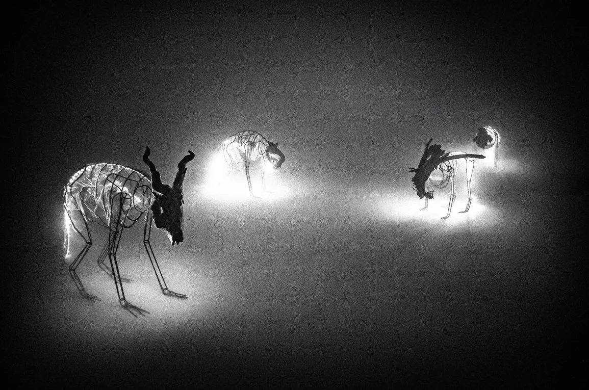 Jacopo Mandich — Apollisiaco, fotografia 9