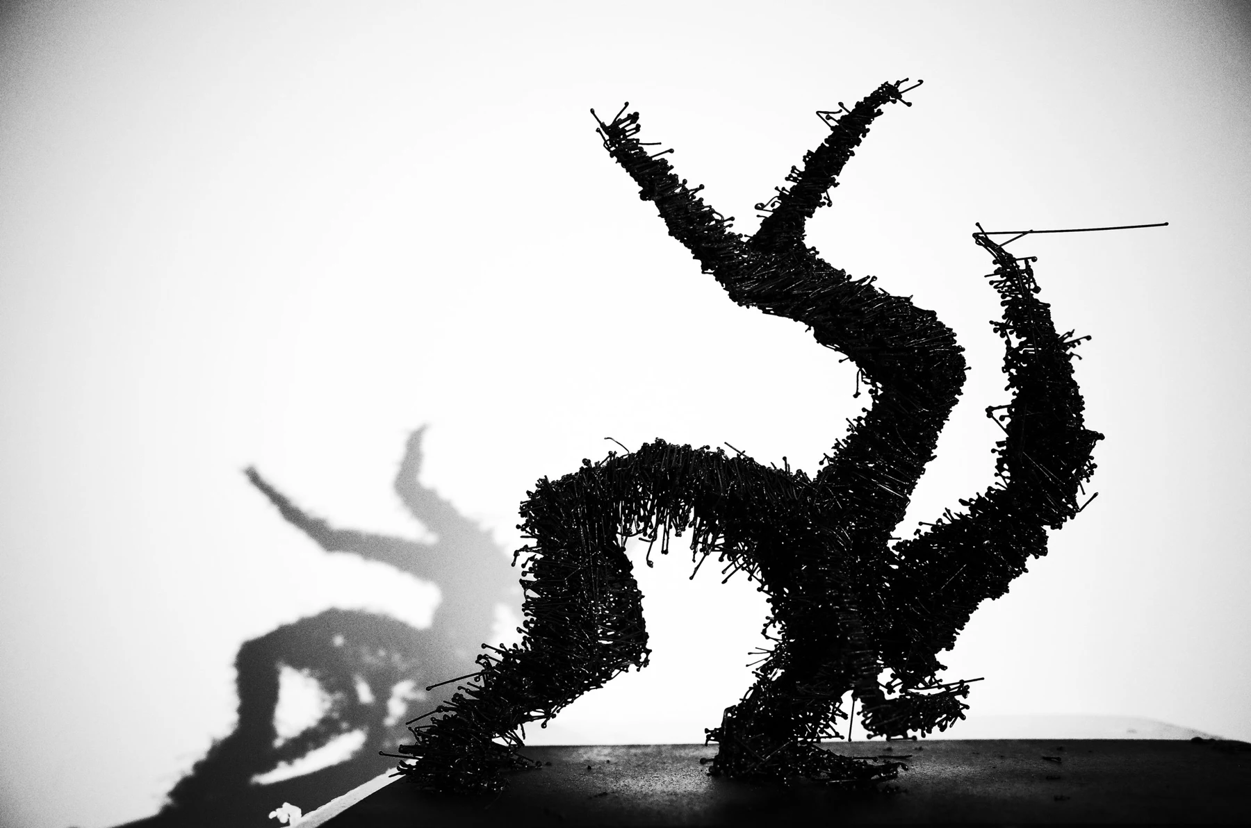 Jacopo Mandich — Apollisiaco, fotografia 4